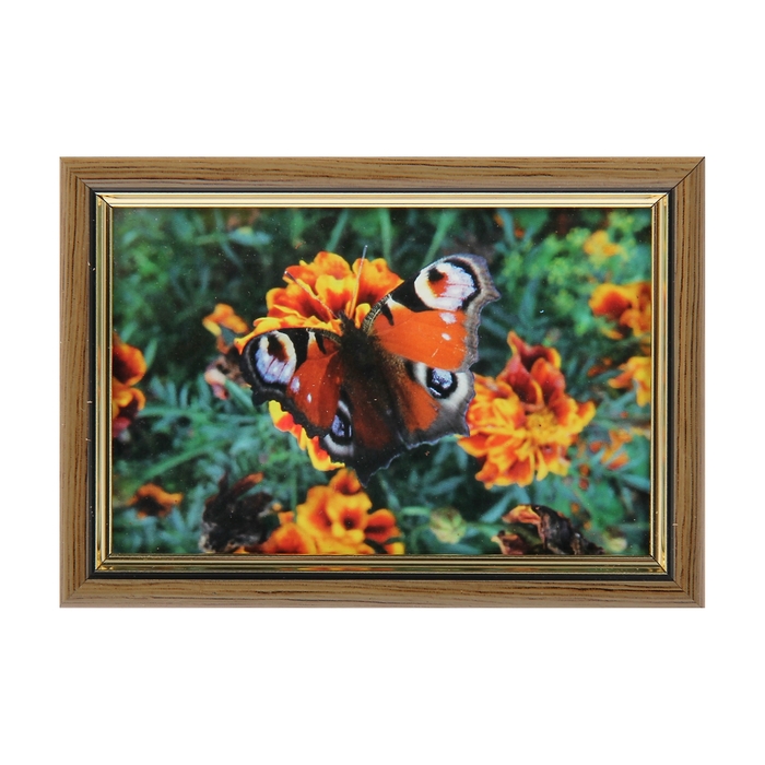 Фоторамка 10х15 см "Ольха с золотом"