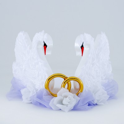 Свадьба голуби кольца