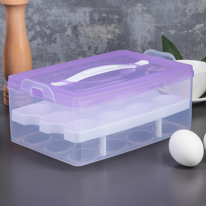 Контейнер для хранения яиц, 24 ячейки, двухуровневый, цвет МИКС