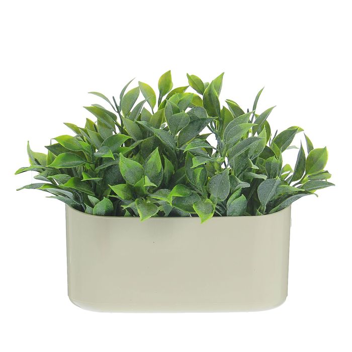 Кашпо для фитомодуля широкое, слоновая кость