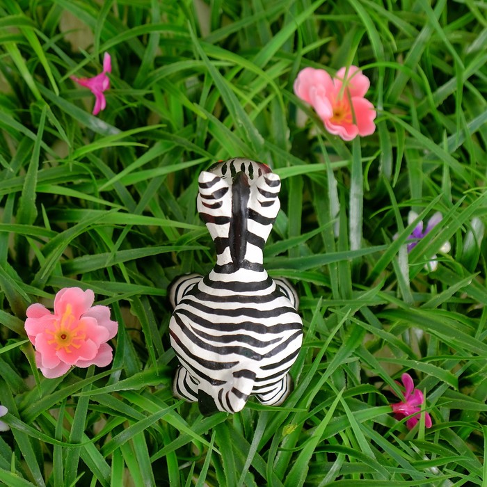 Сувенир "Зебра Марти"