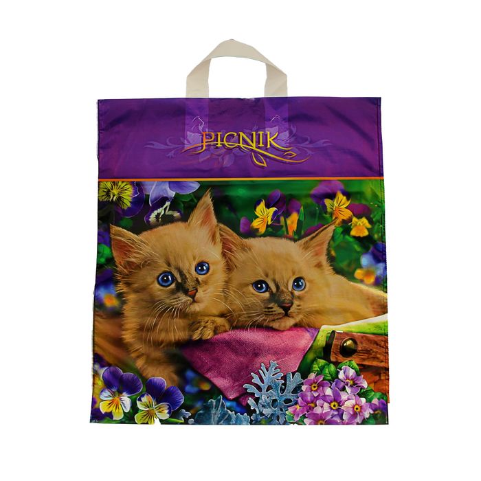 Пакет "Пикник", полиэтиленовый с петлевой ручкой, 38х42 см, 40 мкм