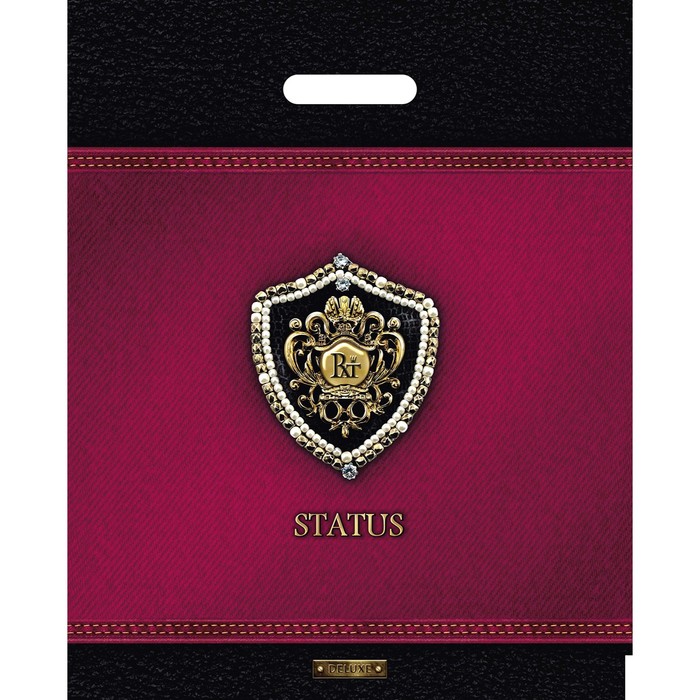 Пакет "Статус", полиэтиленовый с вырубной ручкой, 38х47 см, 60 мкм