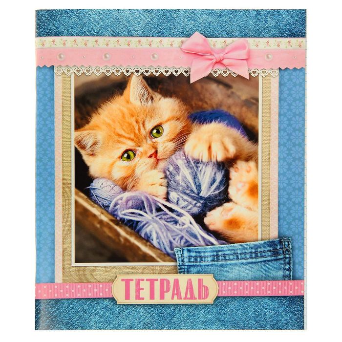 Тетрадь 48 листов "Кошки коллаж"