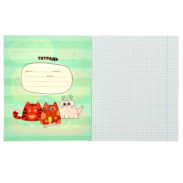 Тетрадь предметная 48 листов "Обществознание"