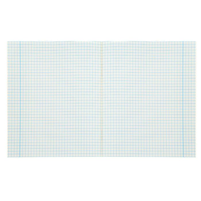 Тетрадь предметная 48 листов " Информатика" классика