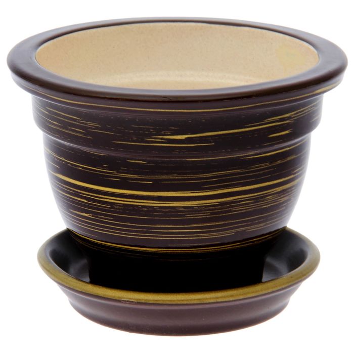 Кашпо "Фиалочница" глянец, шоколадно-золотое, 0,5 л