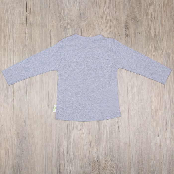 Футболка с длинным рукавом детская "Лучший малыш на свете", Медвежонок Винни, рост 98-104 (60) см, 3 года, 100% хлопок