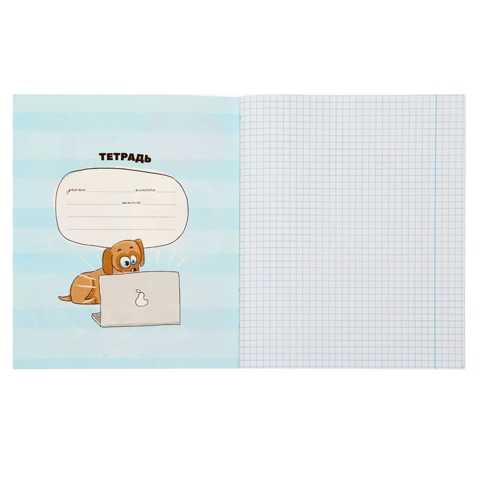 Тетрадь предметная 48 листов " Информатика"