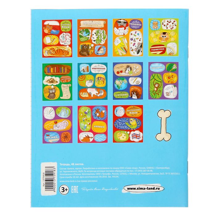 Тетрадь предметная 48 листов " Информатика"