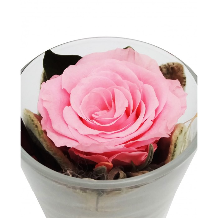 Композиция в вазе "Измир", роза розовая, 7,1 х 7,1 х 8,3 см, 175 мл