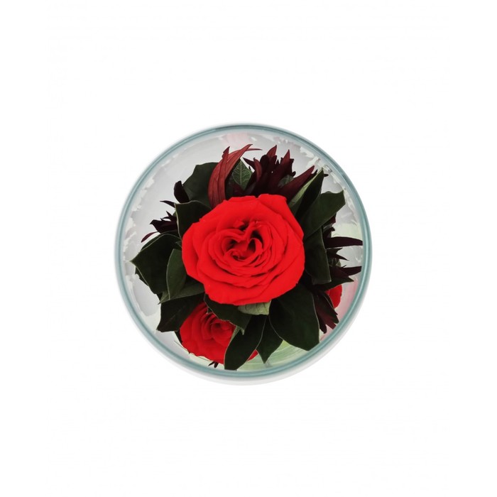 Композиция в вазе "Мунглинг", розы красные, 10 х 10 х 25 см