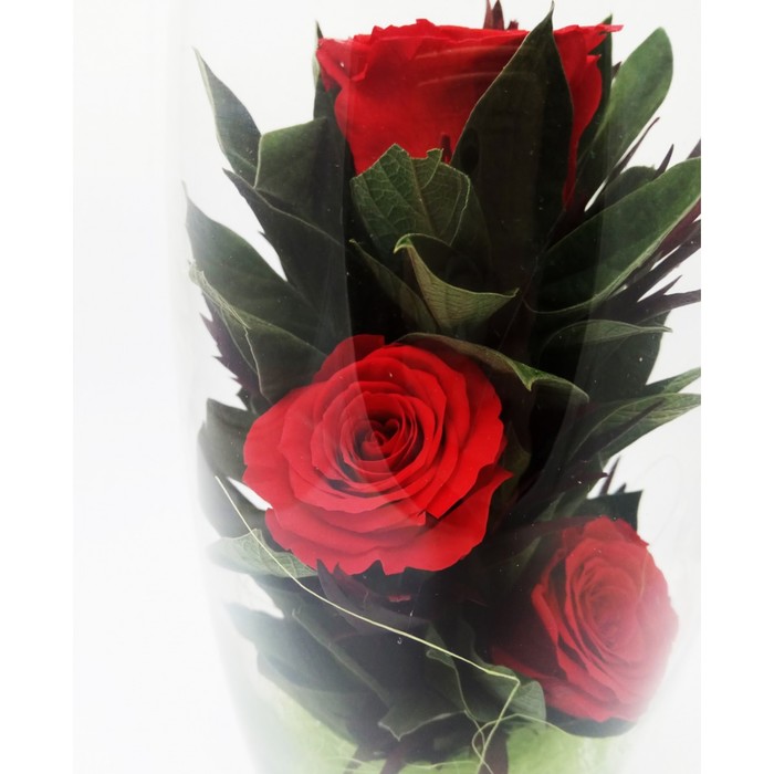 Композиция в вазе "Мунглинг", розы красные, 10 х 10 х 25 см