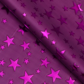 Пленка голография 'Звёзды', фиолетовый, 70 х 100 см Ош