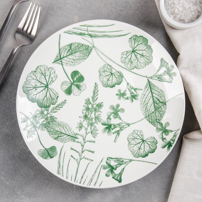 Тарелка мелкая 22 см "Соната. Гербарий. Листья"