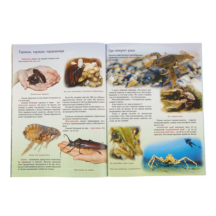 Что? Когда и Почему? "Почему киты живут в воде, а слоны на суше?", с 3D картинками!