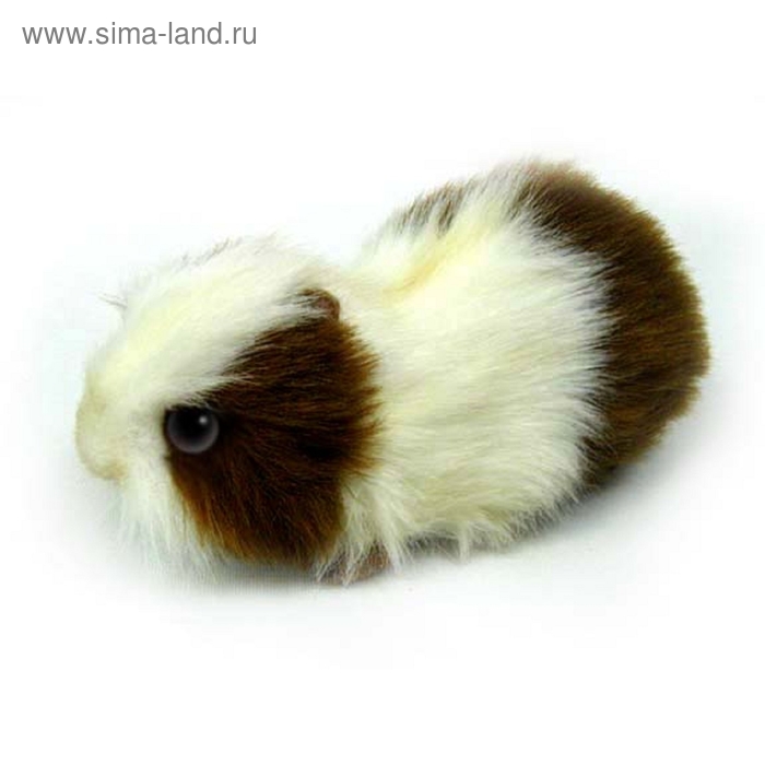 

Мягкая игрушка "Морская свинка бело-коричневая"
