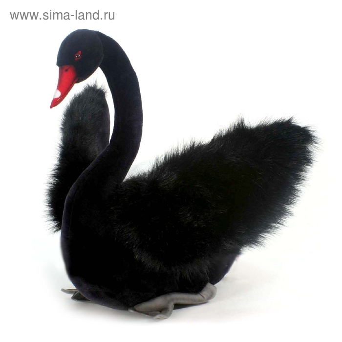 От 20 до 50 см Мягкая игрушка «Лебедь чёрный», 45 см