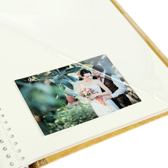 Фотоальбом 20 магнитных листов "Букет роз" МИКС