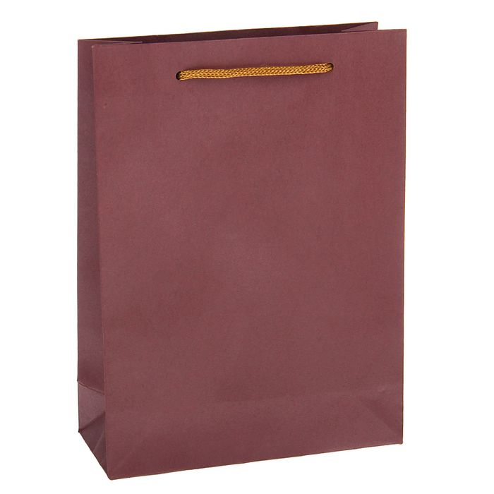 Пакет крафт сиреневый, 15 х 20 х 6 см