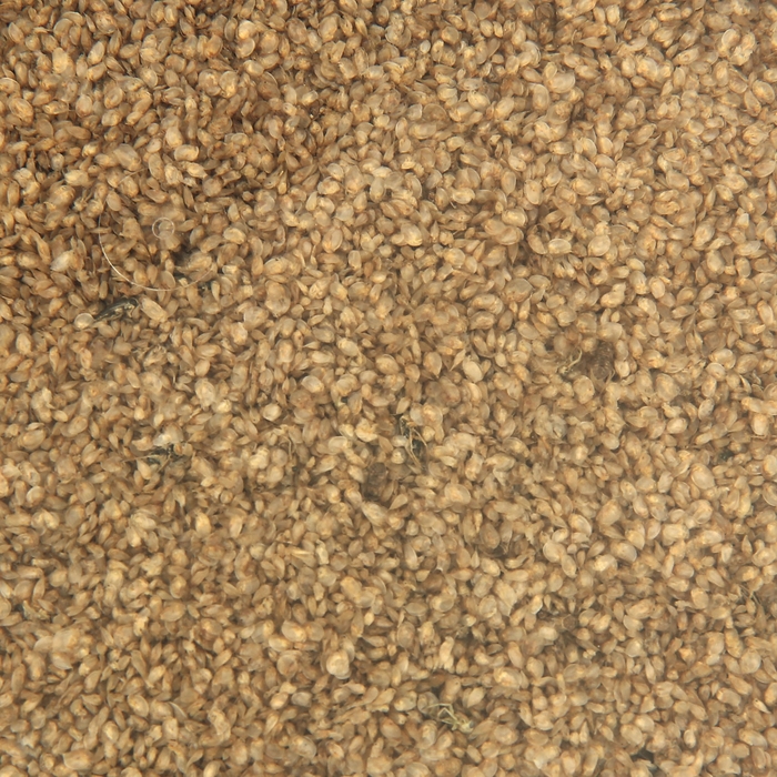 Корм для аквариумных рыб "Дафния", 2, 25 л, 180 г