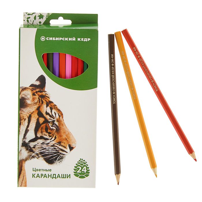 Карандаши 24 цвета "Сибирский Кедр. Звери", шестигранные, длина 175мм, ok 6.9мм