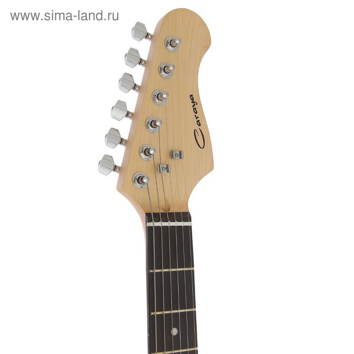

Электрогитара Caraya E201STB