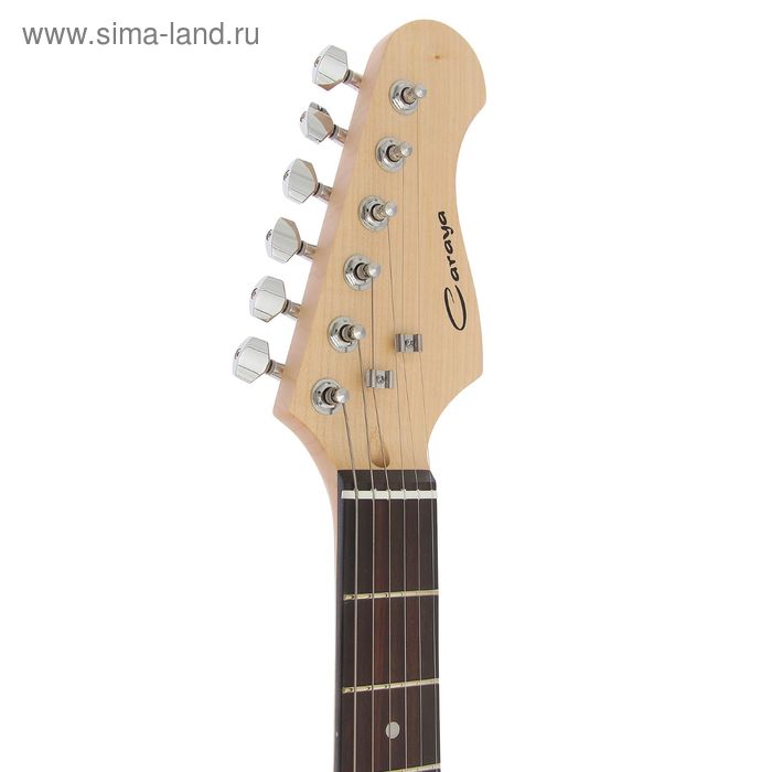 

Электрогитара SSS Caraya E210BS