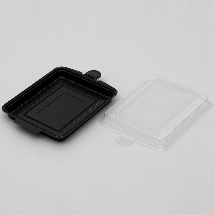 Контейнер с крышкой 41х28х7 см, цвет черный