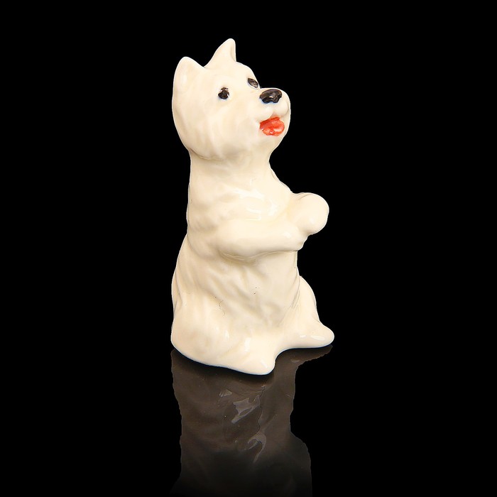 Сувенир собачка «Вест-хайленд-терьер», МИКС