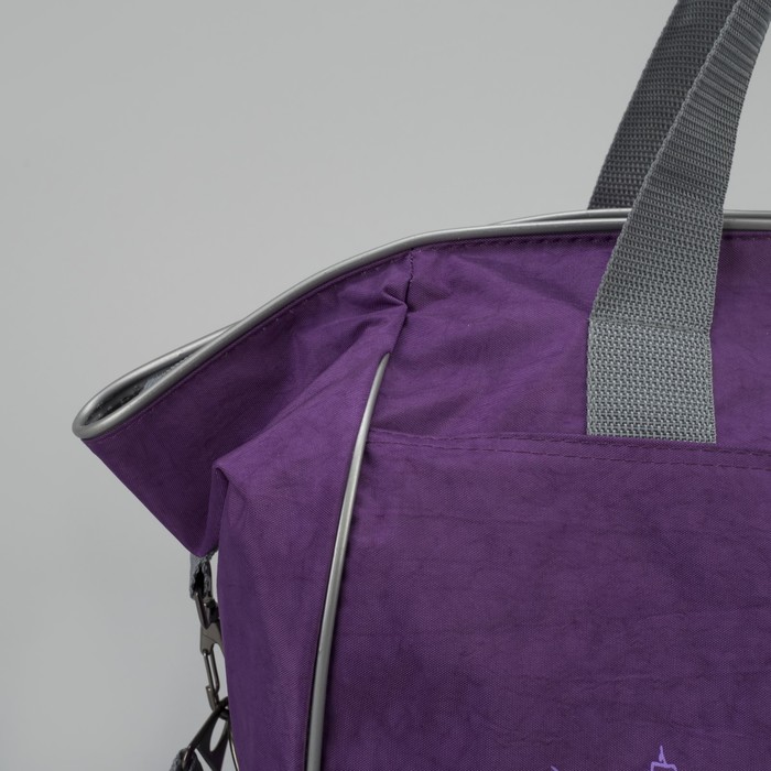 Сумка спортивная, 1 отдел, 1 наружный карман, цвет сиреневый