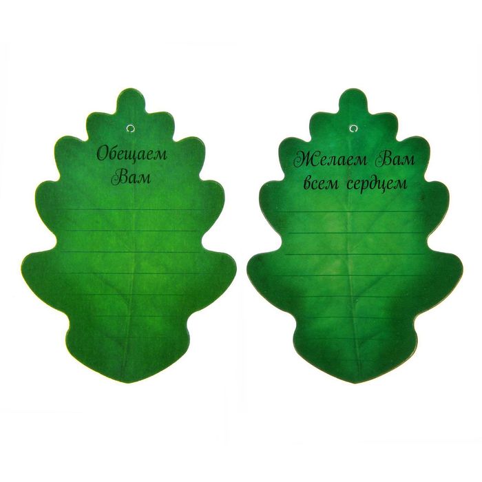 Подарочный набор "Дождь добрых пожеланий. Дорогому чителю"