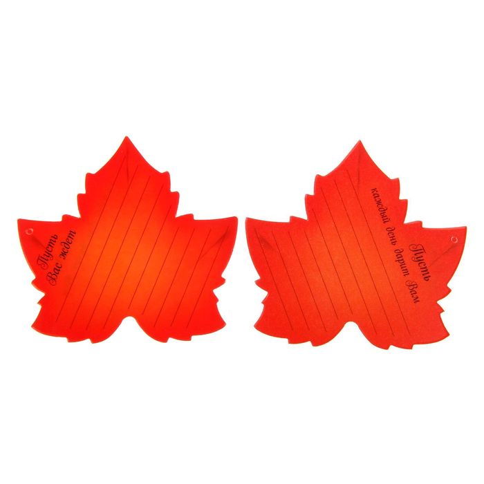 Подарочный набор "Дождь добрых пожеланий. Дорогому чителю"