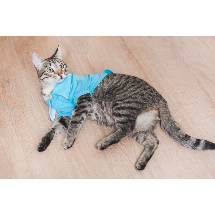 Футболка поло, размер L микс цветов