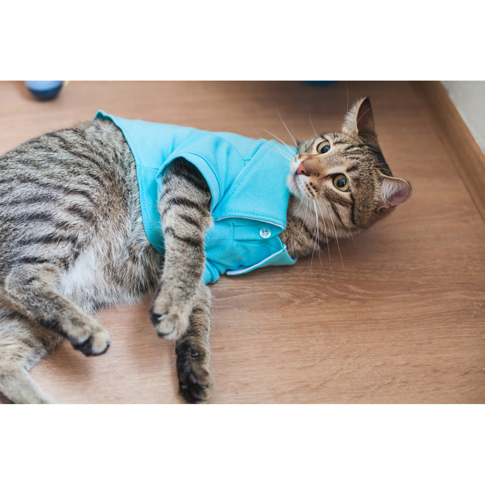 Футболка поло, размер L микс цветов