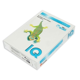 

Бумага цветная А4 250 л, IQ COLOR, 160 г/м2, серый, GR21