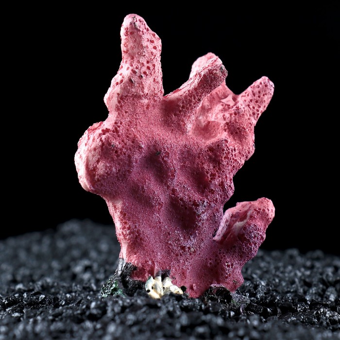 Декор для аквариума "Коралл", 7 х 3,7 х 10 см