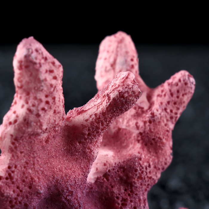 Декор для аквариума "Коралл", 7 х 3,7 х 10 см