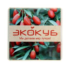 

ЭкоКуб "Годжи"