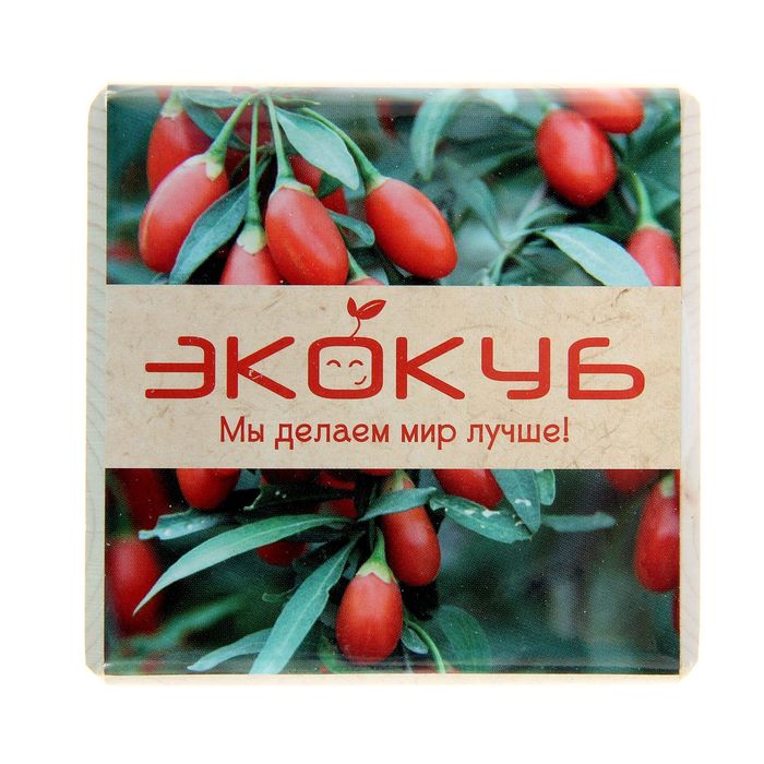 ЭкоКуб "Годжи"