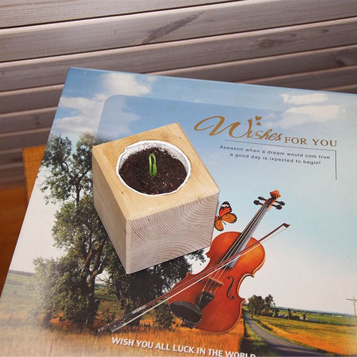 ЭкоКуб "Годжи"