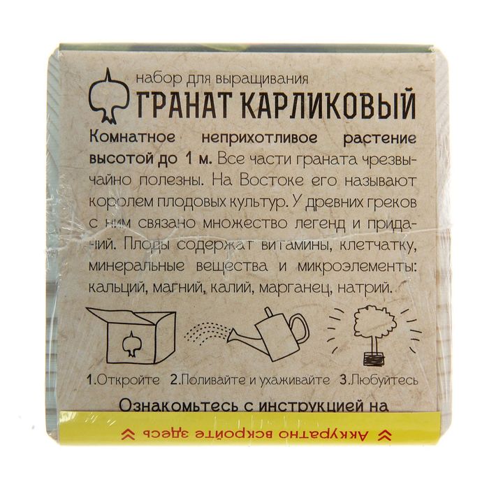 Экокуб «Гранат карликовый»