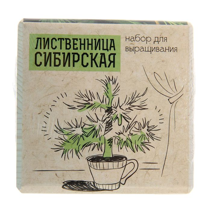 ЭкоКуб "Лиственница сибирская"