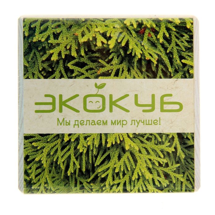 ЭкоКуб "Туя западная"