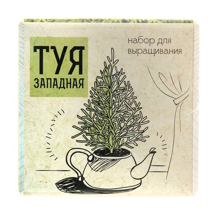 ЭкоКуб "Туя западная"