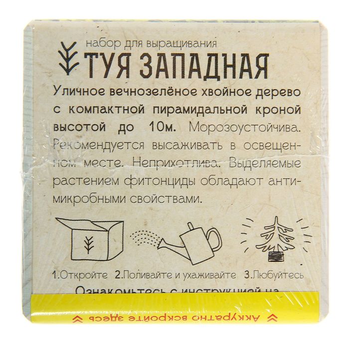 ЭкоКуб "Туя западная"