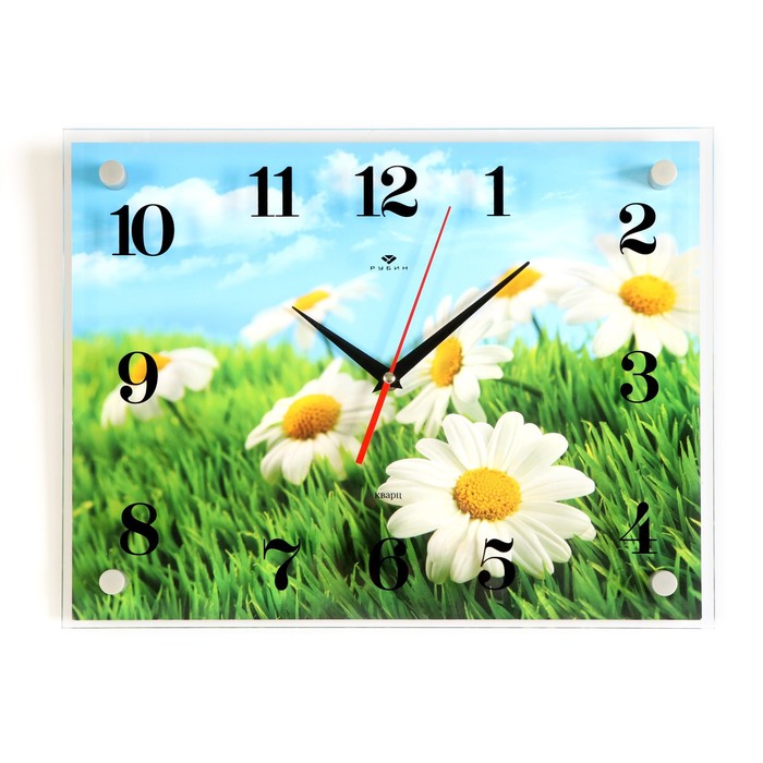 фото Часы настенные, серия: цветы, "ромашки" 30х40 см, микс рубин