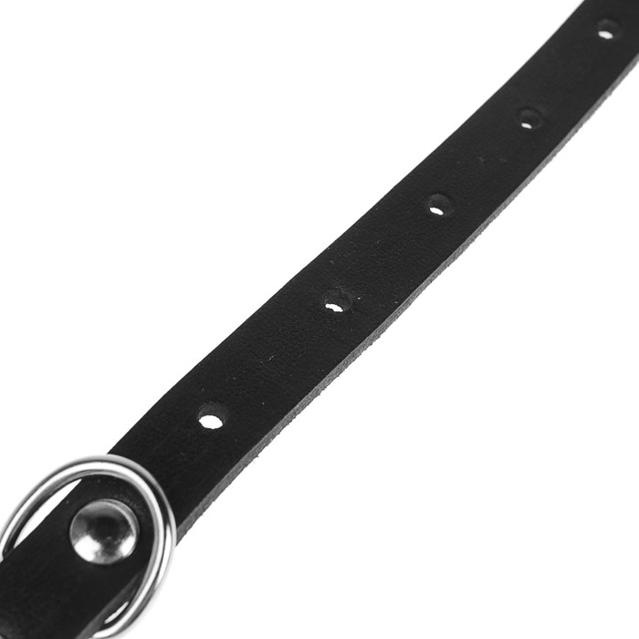 Ошейник кожаный однослойный, 32 х 1,4 см микс цветов