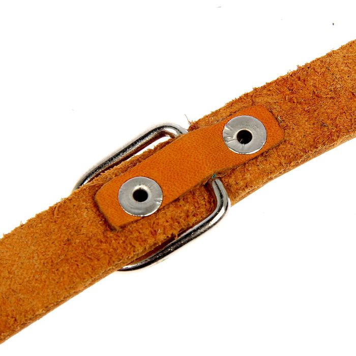 Ошейник кожаный однослойный безразмерный, 32 х 1,6 см микс цветов