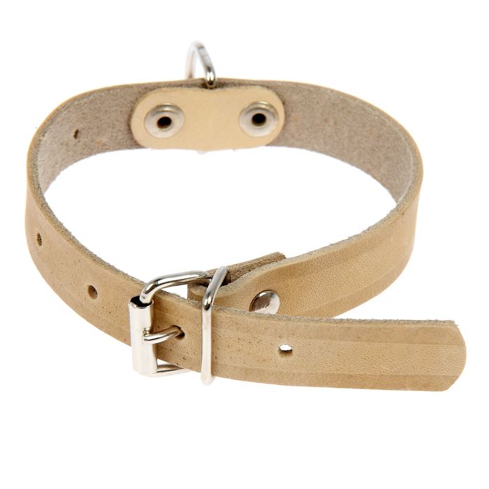 Ошейник кожаный однослойный безразмерный, 38 х 1,8 см микс цветов